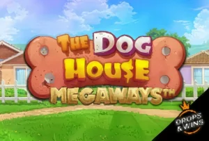 Das Dog House Megaways-Slotspiel im Spinit Casino